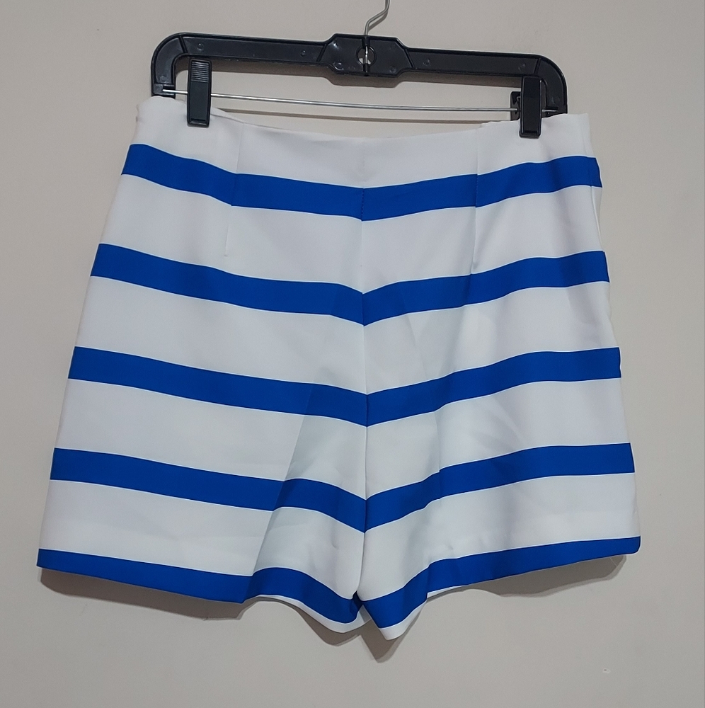 Zara  Blue and White Striped Pleated High Waist Shorts Sz-L - Picture 7 of 9